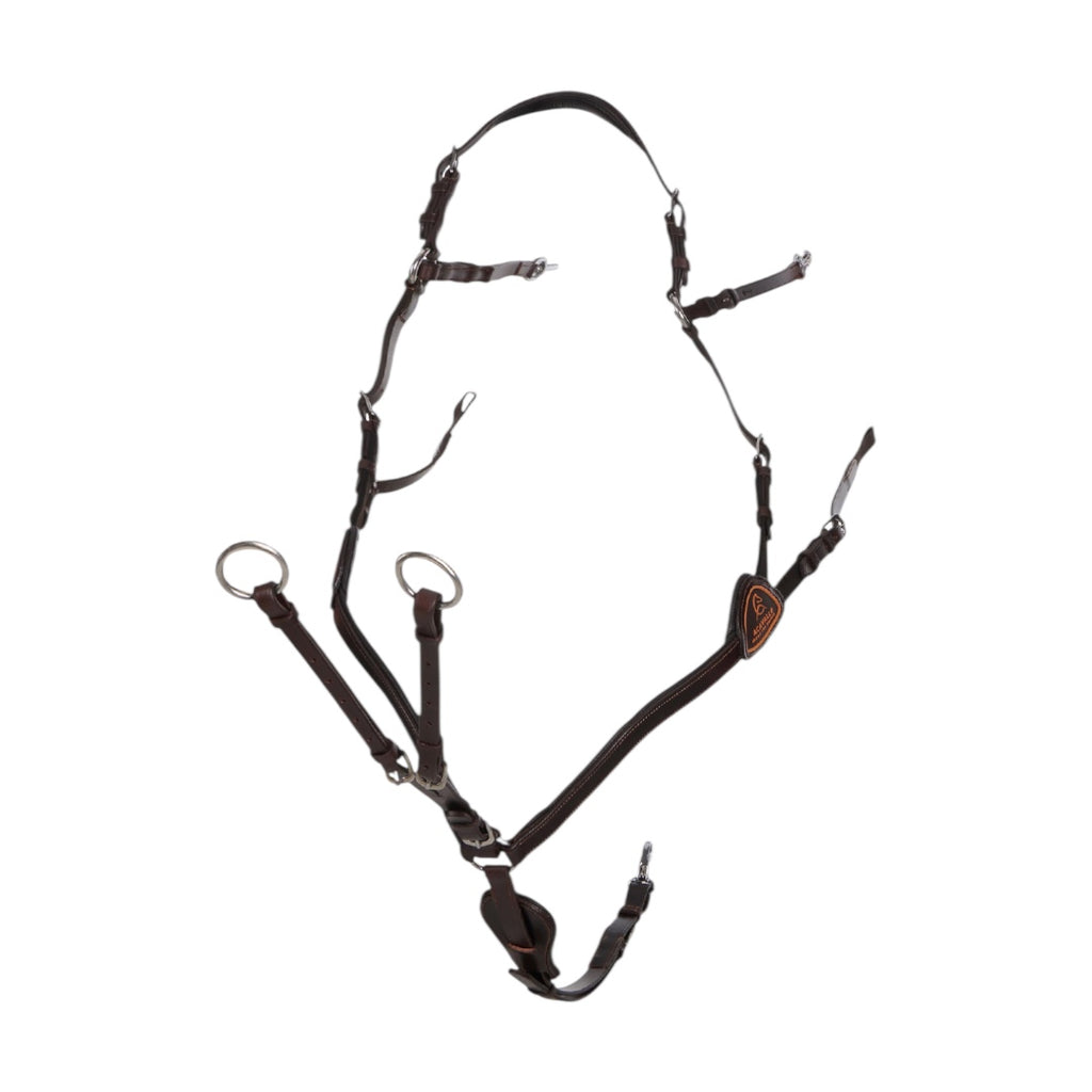 Acavallo 5-punkti kinnitusega rinnarihm-martingal