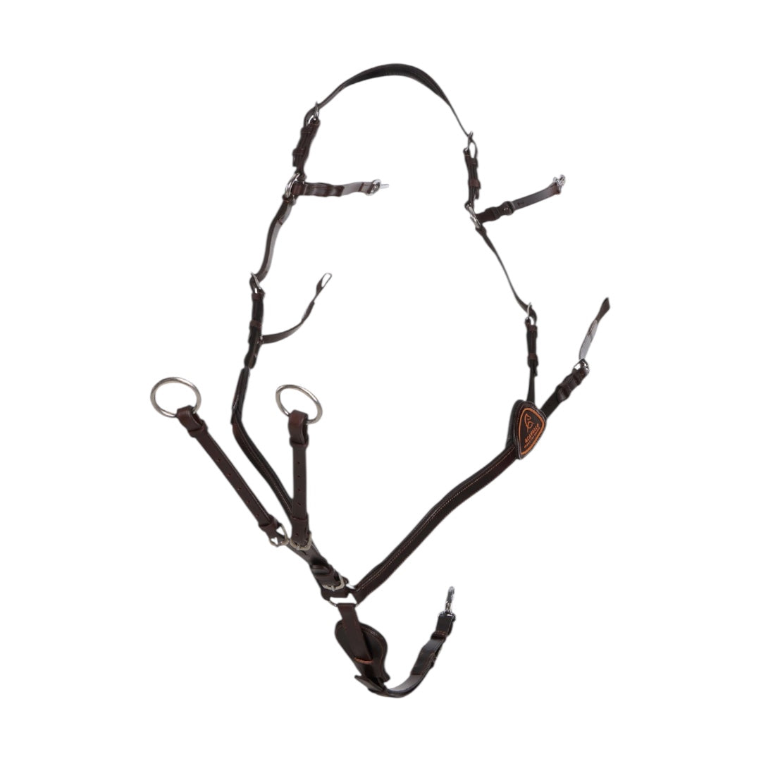 Acavallo 5-punkti kinnitusega rinnarihm-martingal