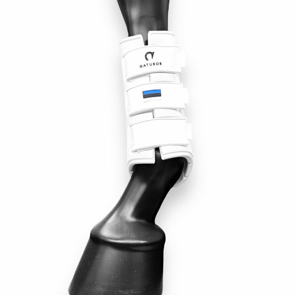 Gatusos Royal Dressage kaitsmed ette