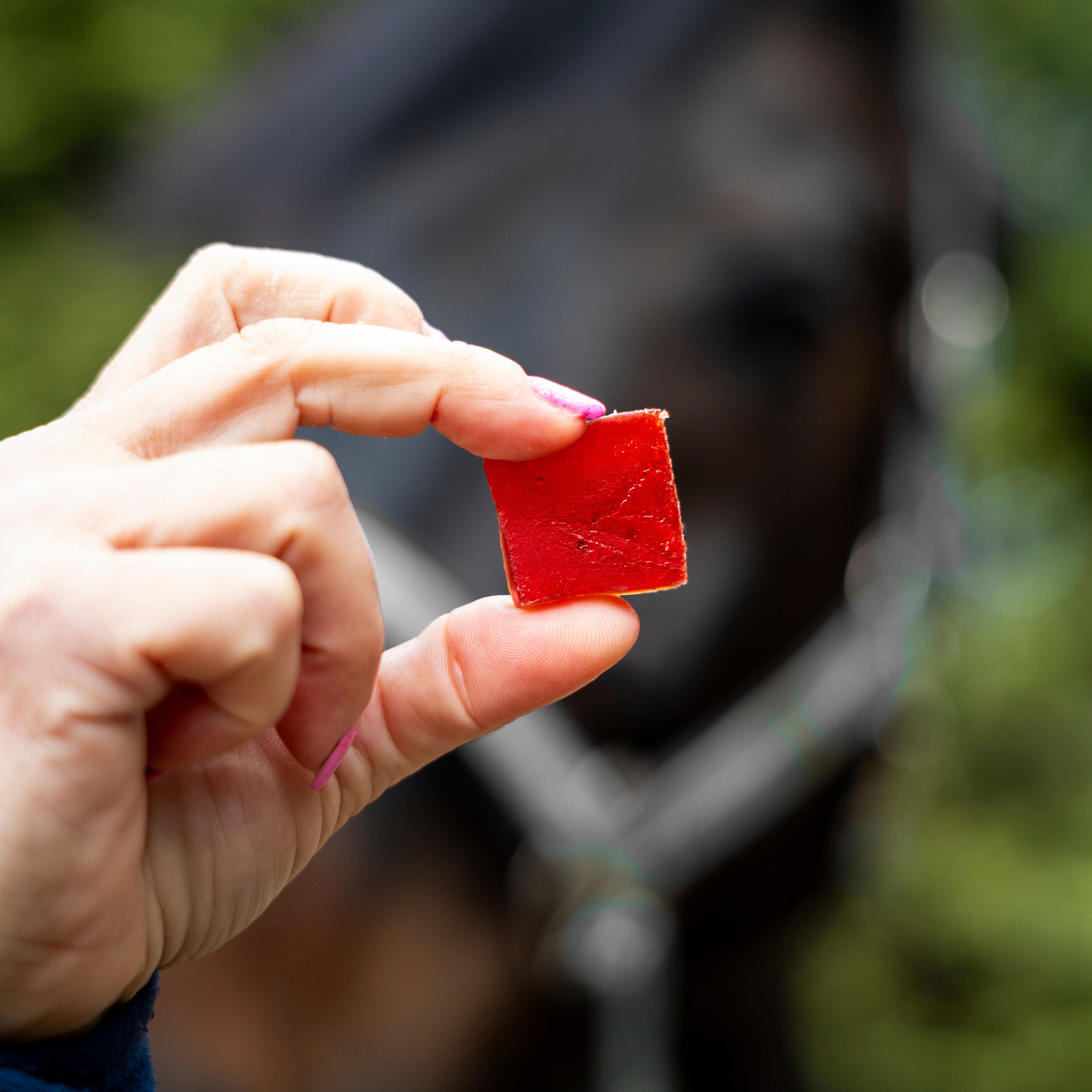 Candy Horse Horse jellies - pear + mint - täiendsööt hobustele