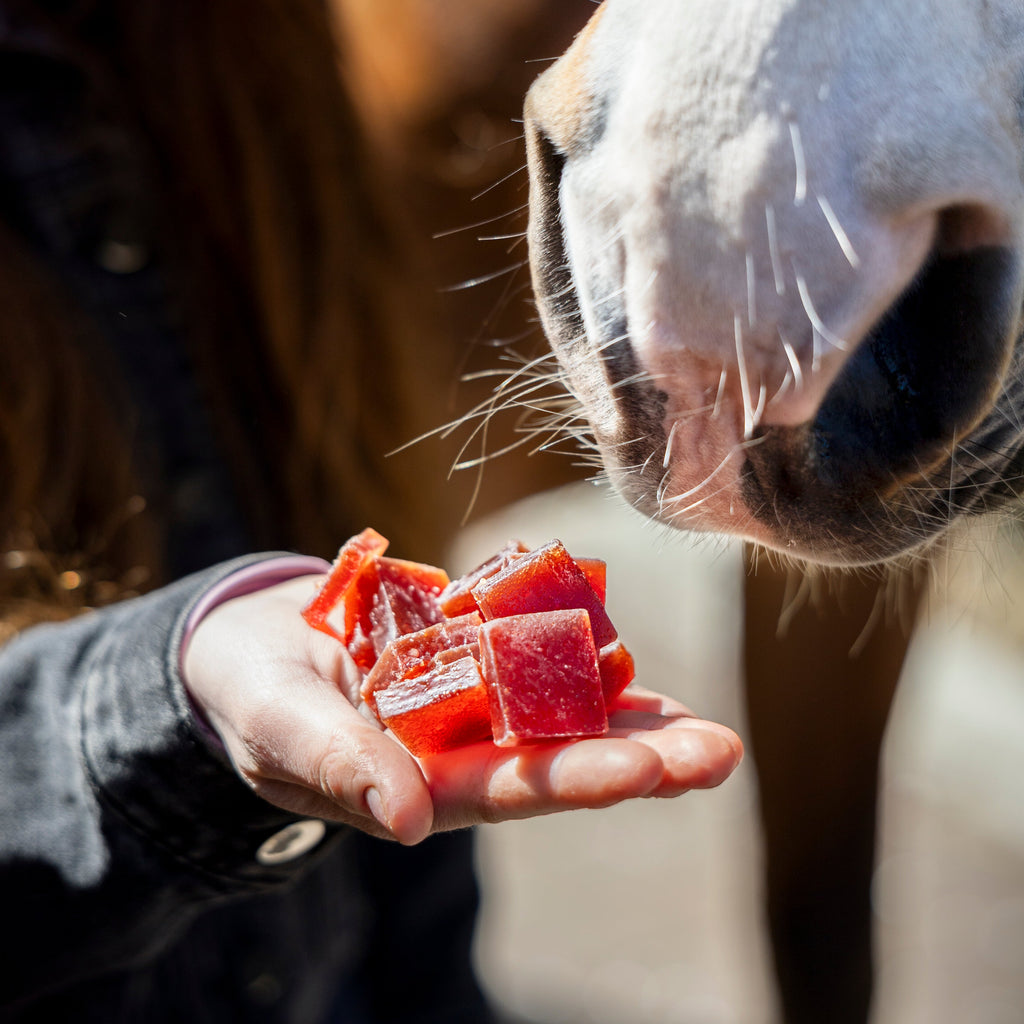 Candy Horse Horse jellies - pear + mint - täiendsööt hobustele