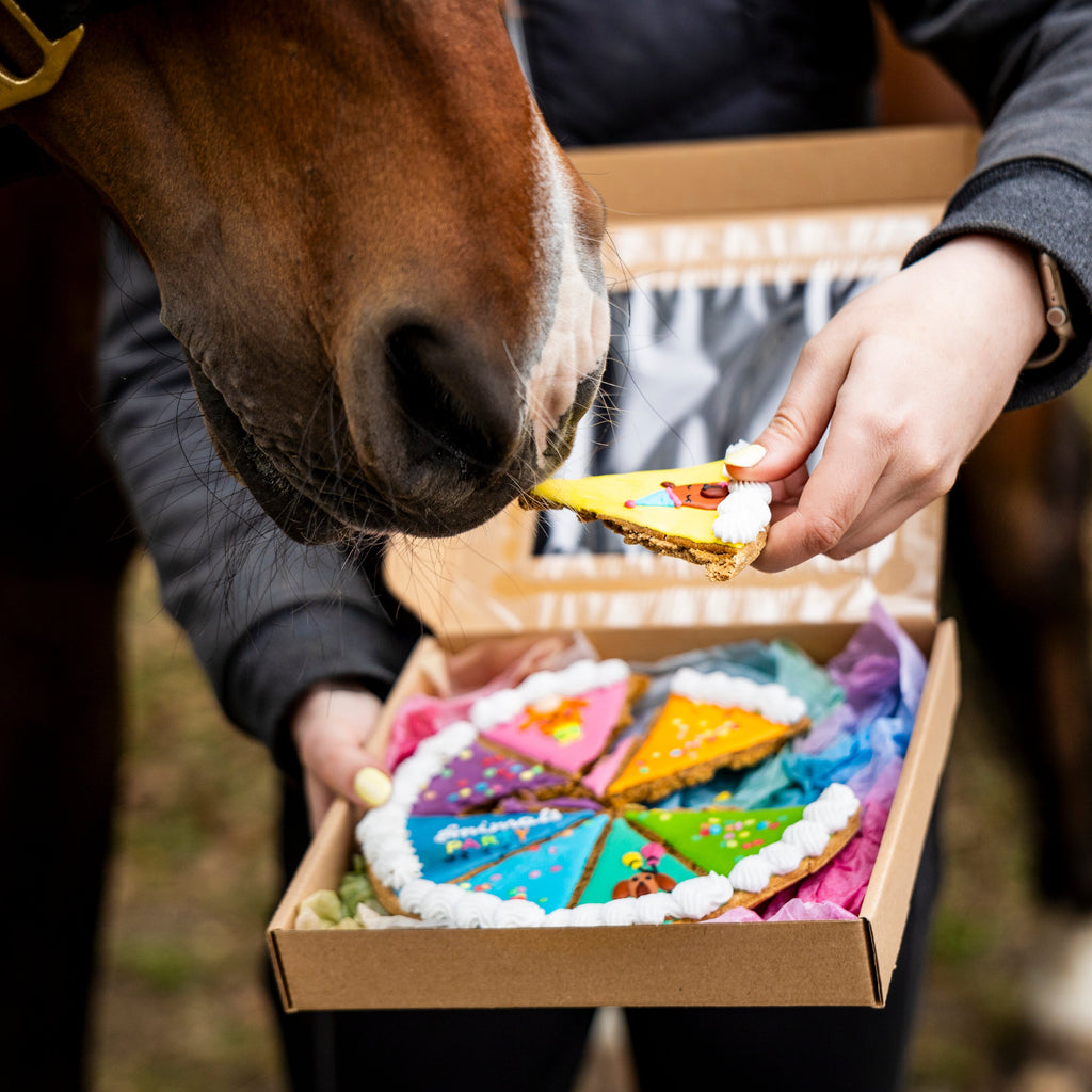 Candy Horse glasuuritud küpsis - täiendsööt hobustele