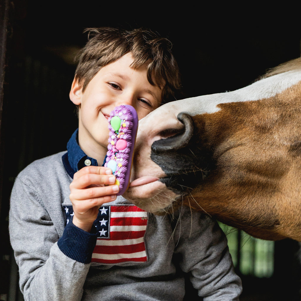 Candy Horse ekleer küpsis glasuuriga - täiendsööt hobusele