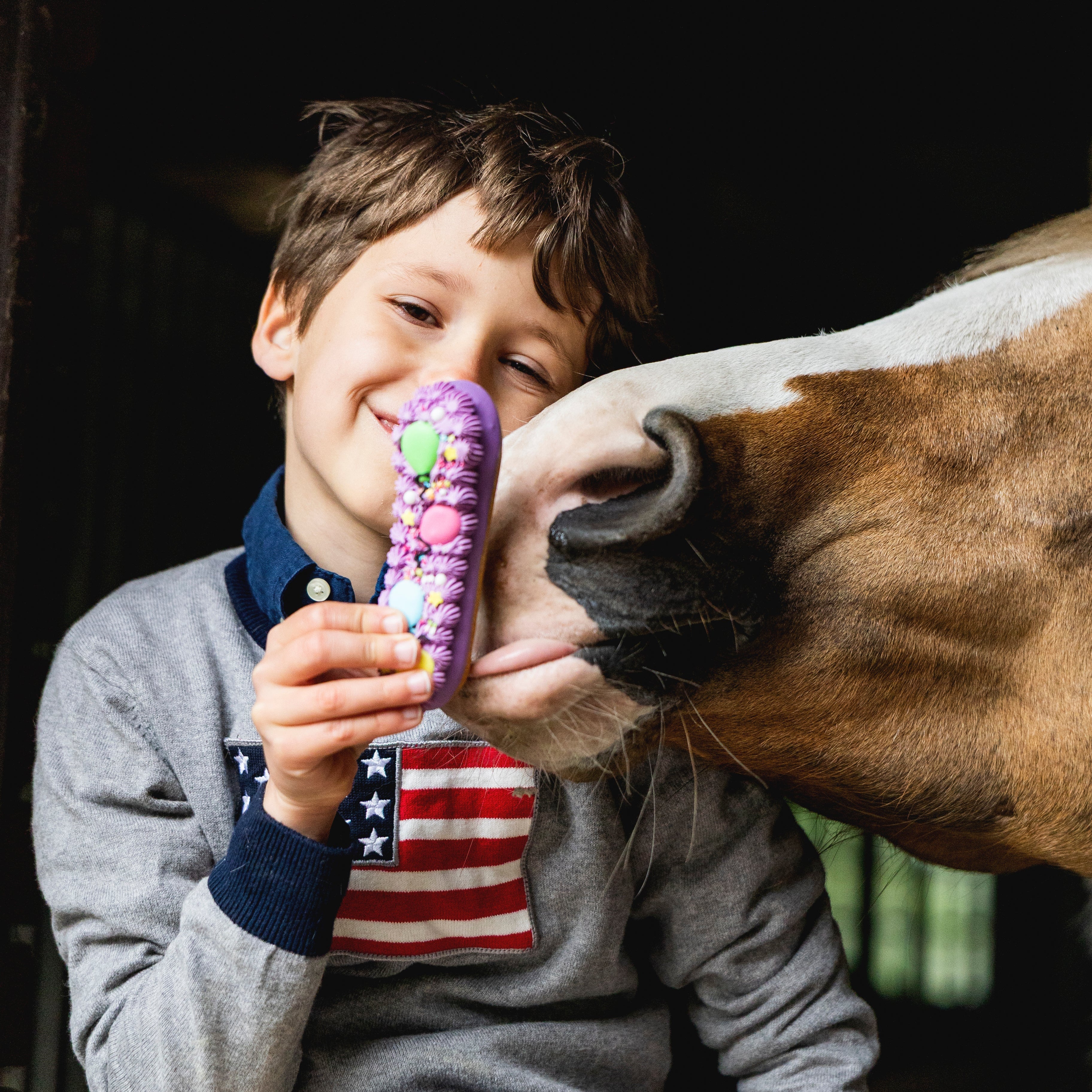 Candy Horse ekleer küpsis glasuuriga - täiendsööt hobusele