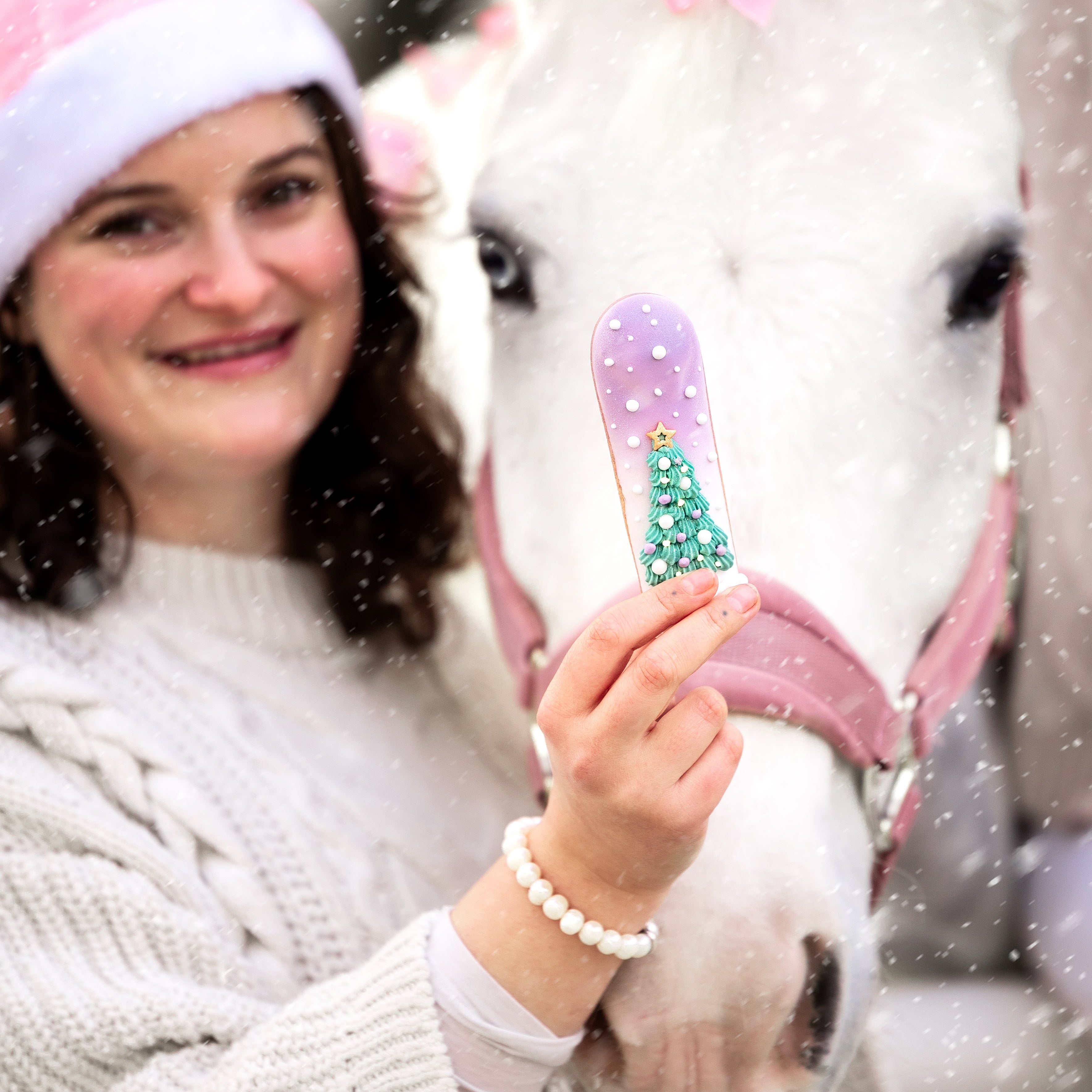 Candy Horse ekleer küpsis glasuuriga - täiendsööt hobusele