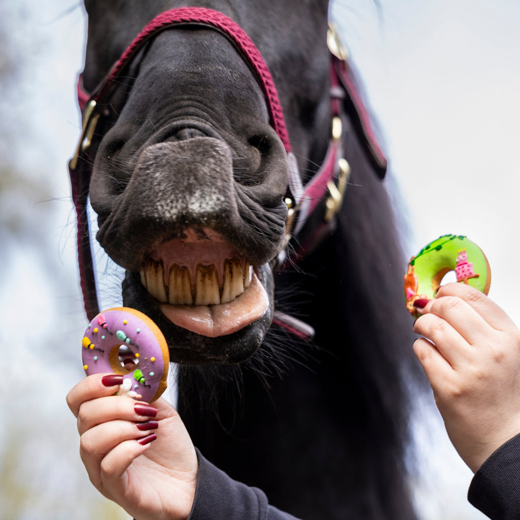 Candy Horse glasuuritud küpsis - täiendsööt hobustele