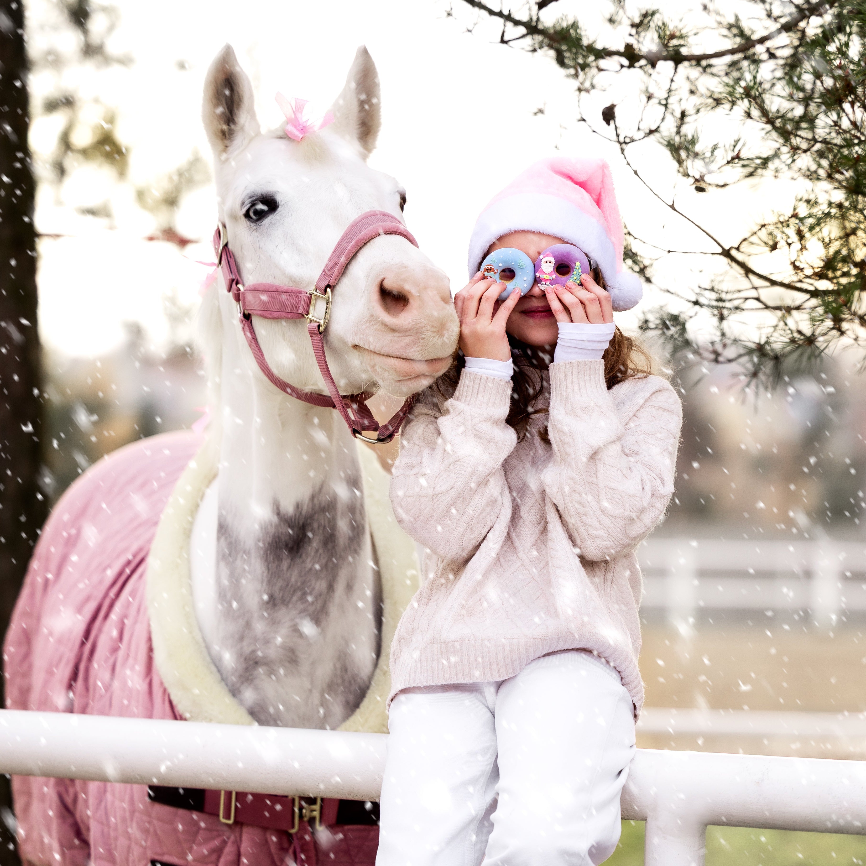 Candy Horse glasuuritud küpsis - täiendsööt hobustele