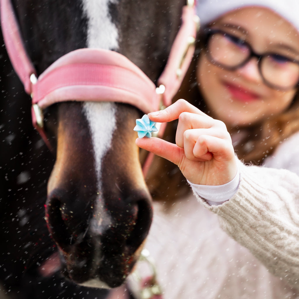 Candy Horse Sweets maiused - täiendsööt hobusele