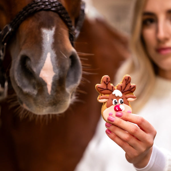 Candy Horse glasuuritud küpsis - täiendsööt hobustele