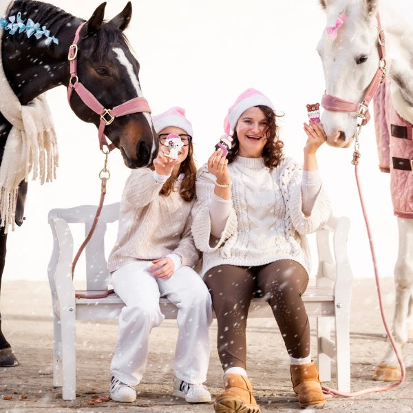 Candy Horse glasuuritud küpsis - täiendsööt hobustele