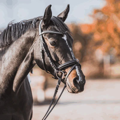 KK ULTRA 16 mm duuline