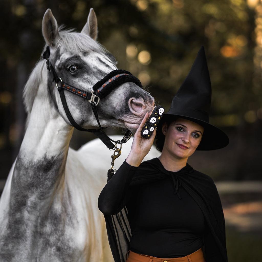 Candy Horse ekleer küpsis glasuuriga - täiendsööt hobusele