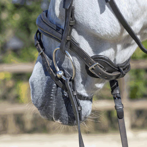 KK ULTRA 14 mm Shine Bright kristalliga