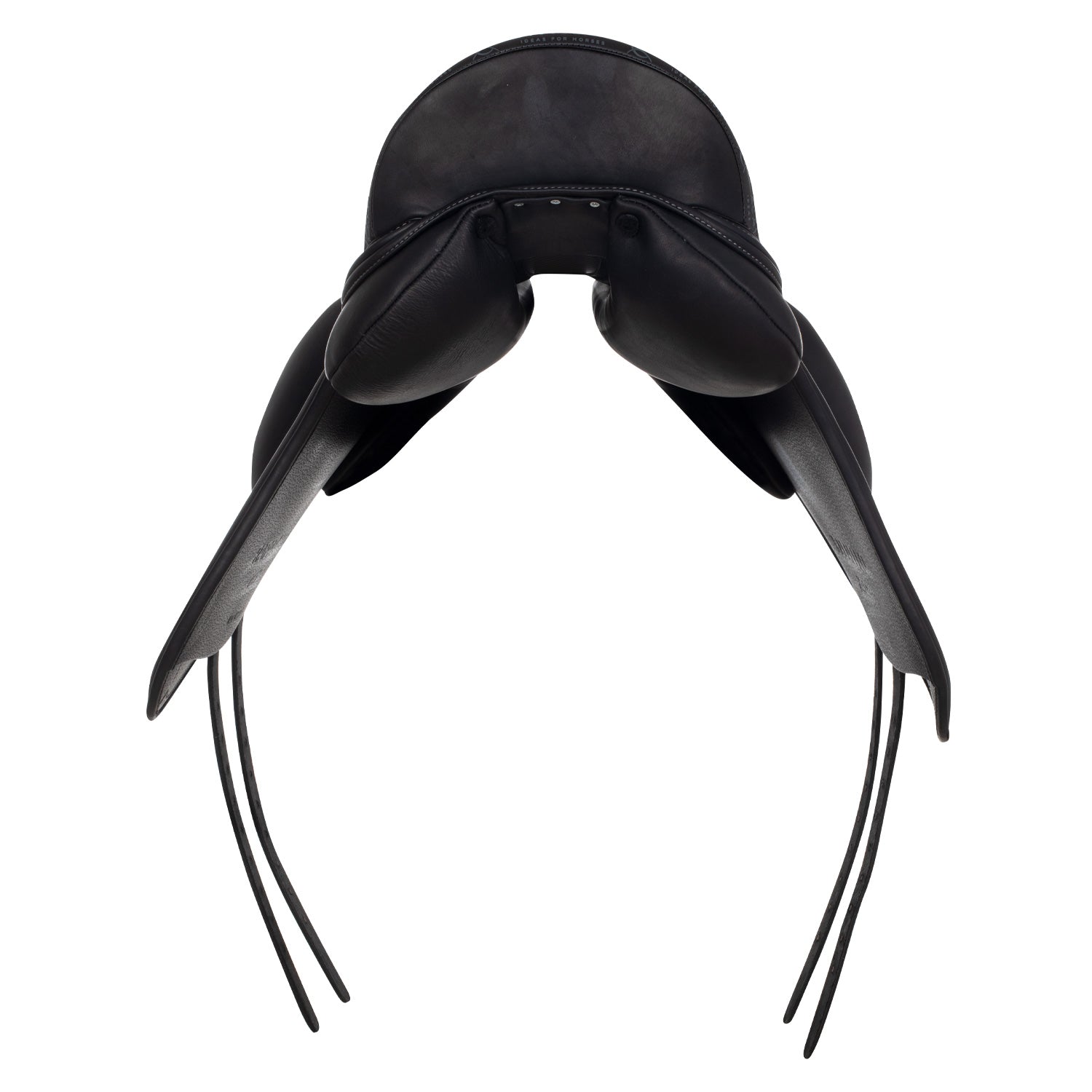 Acavallo Raffaello koolisõidusadul