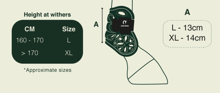 Gatusos Air - tagumised