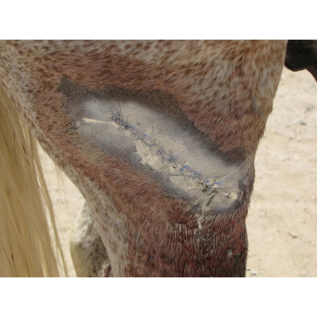 Excellent alumiiniumsprei haavadele