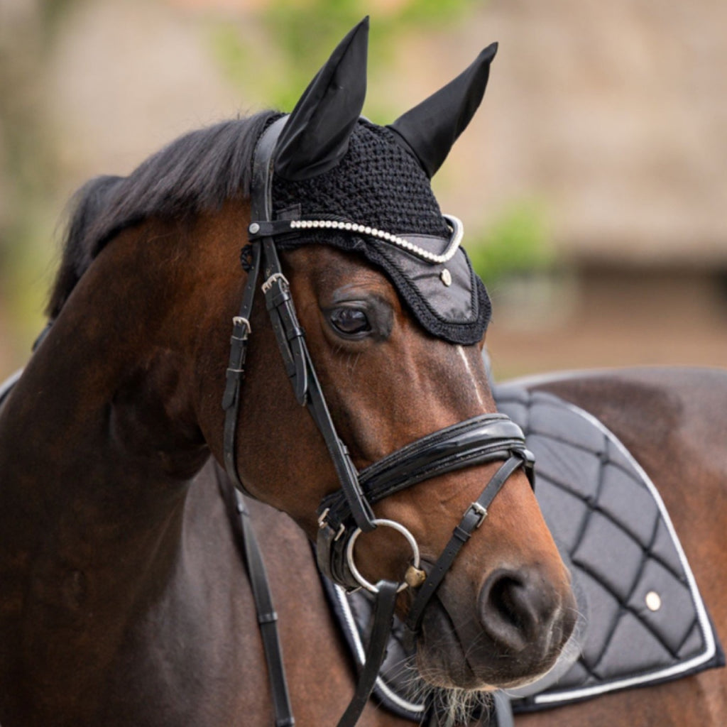 HB Showtime St Logo kõrvad