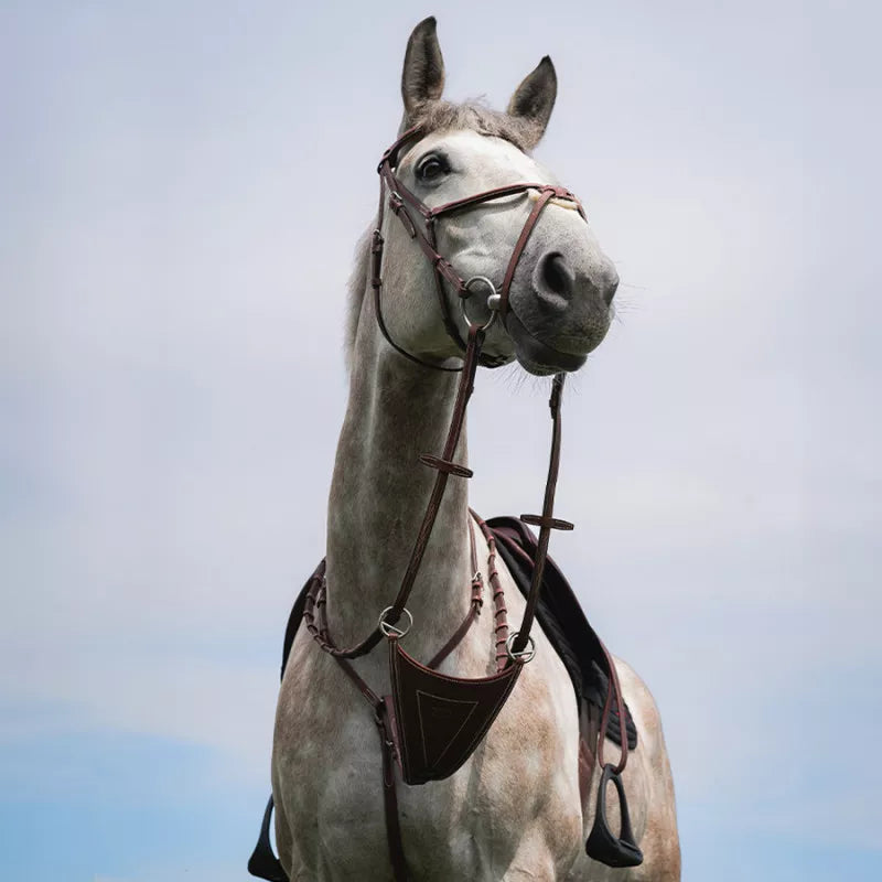 CWD rinnarihm-martingal Bib