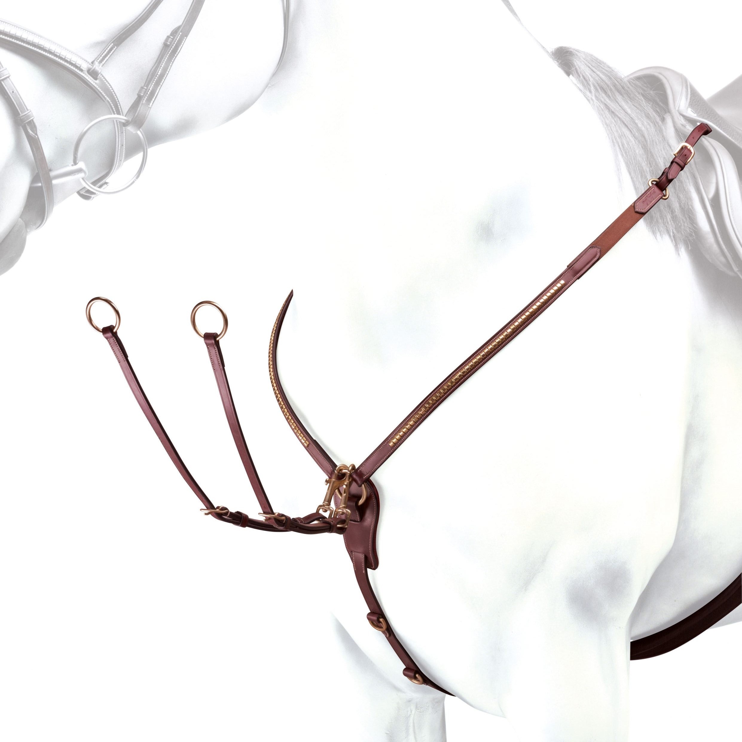 Equipe Y kujuga rinnarihm