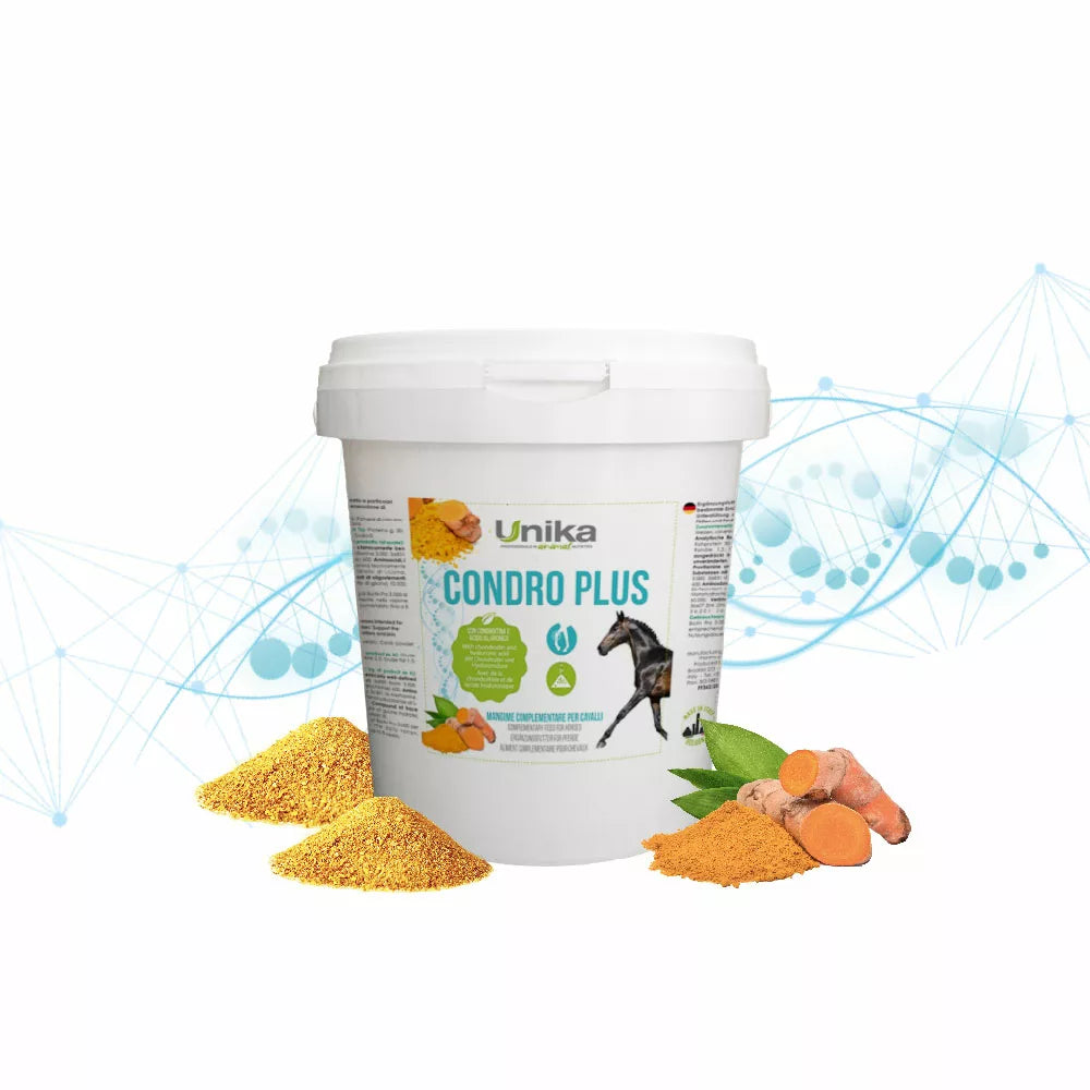 Condro Plus - täiendsööt hobuste liigestele
