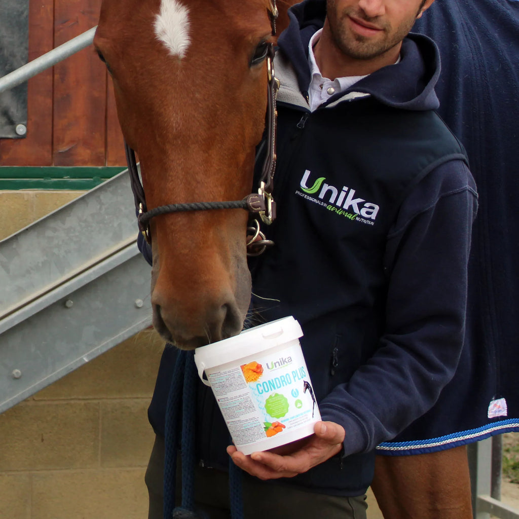 Condro Plus - täiendsööt hobuste liigestele