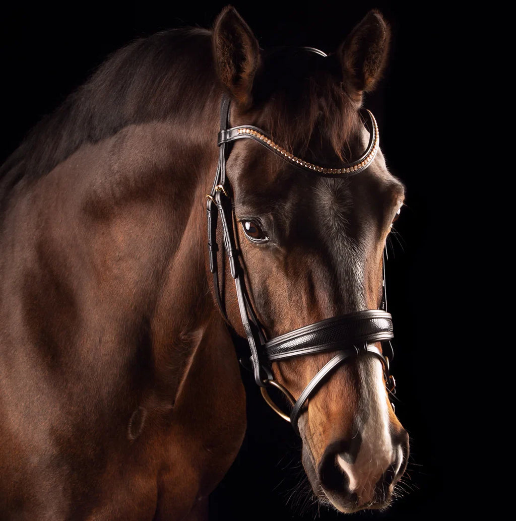 MRS.ROS Deluxe Knight valjad