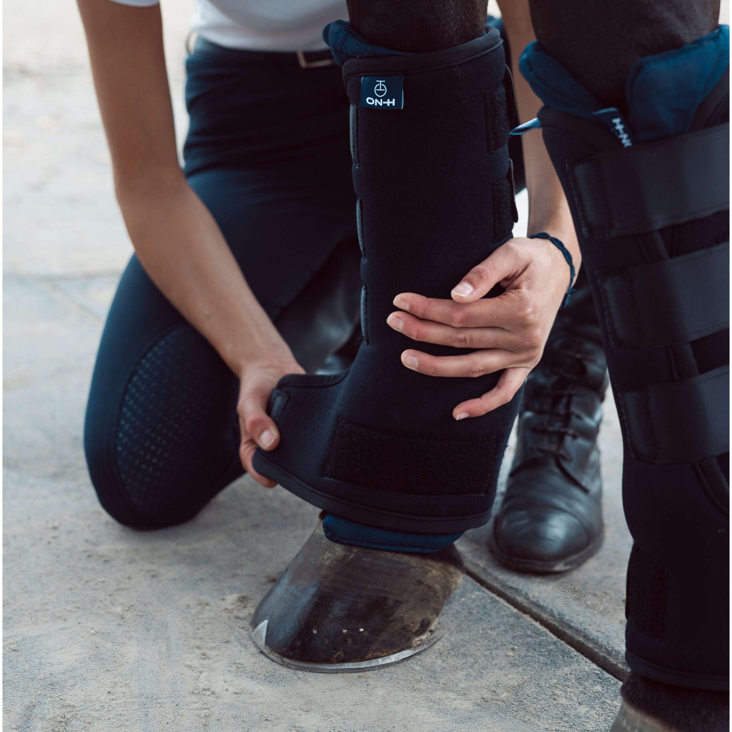 ON-H tallikaitsmete sisud