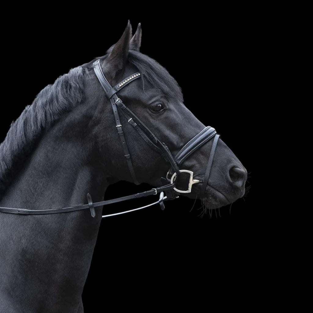 Sprenger Pony Dynamic RS bradoon 14mm