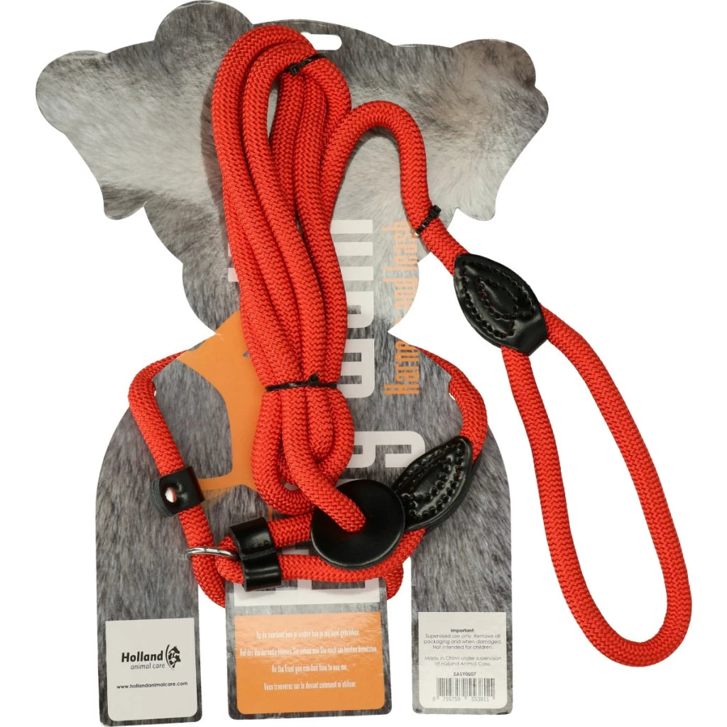 Easy Walk - kõik ühes rihm