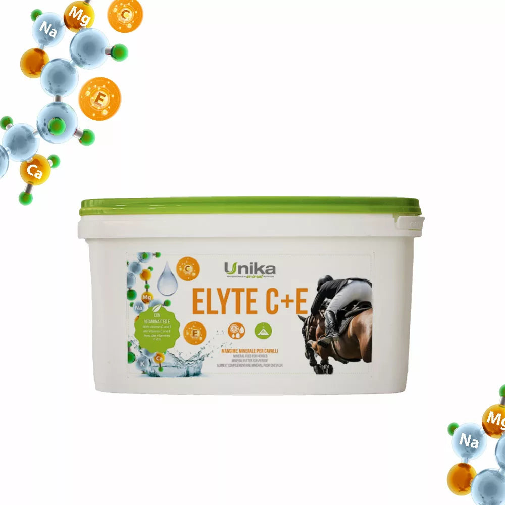 Elyte C+E - elektrolüüdipulber - täiendsööt hobustele