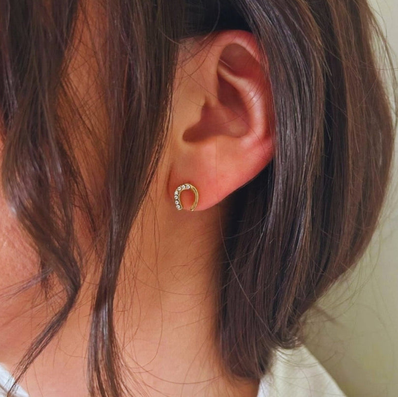 Equestrian Emy IP kõrvarõngad