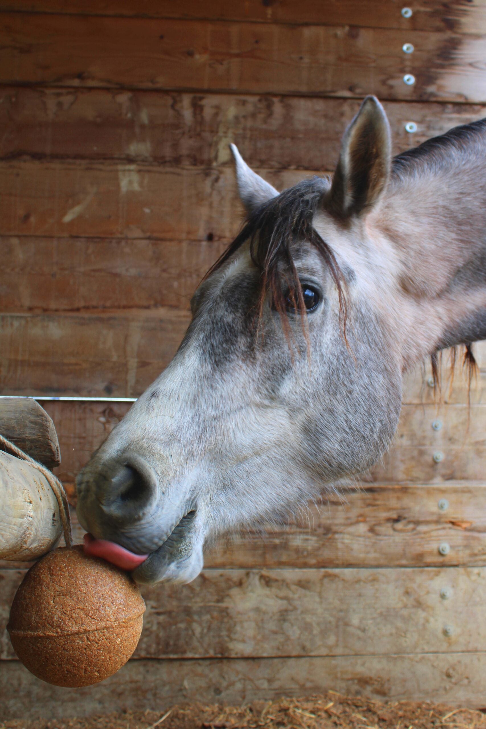 Unika Balls Endurance lakupall - täiendsööt hobusele