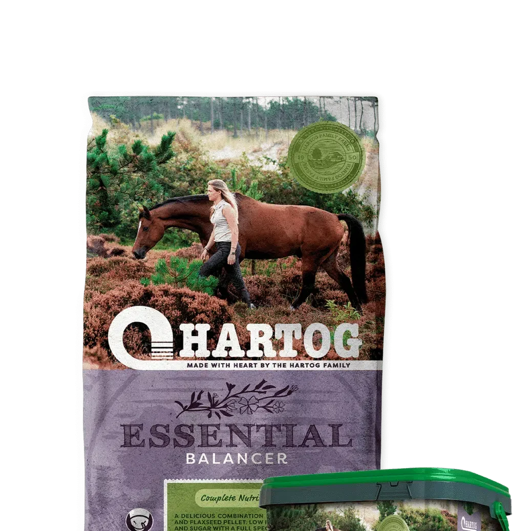 Hartog Essential