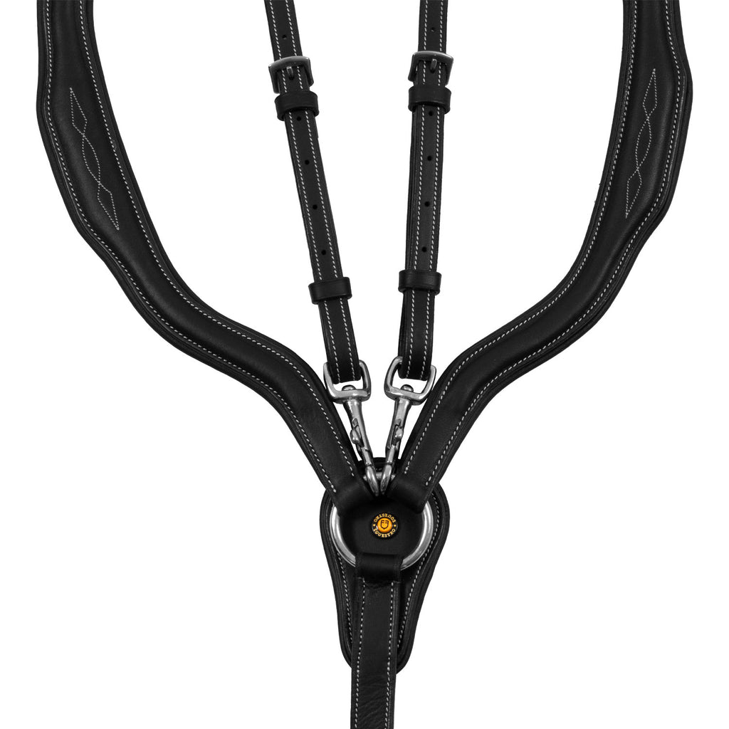 Equestro rinnarihm-martingal