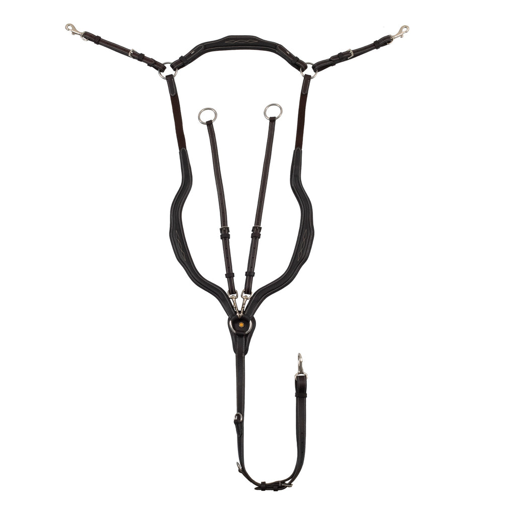 Equestro rinnarihm-martingal