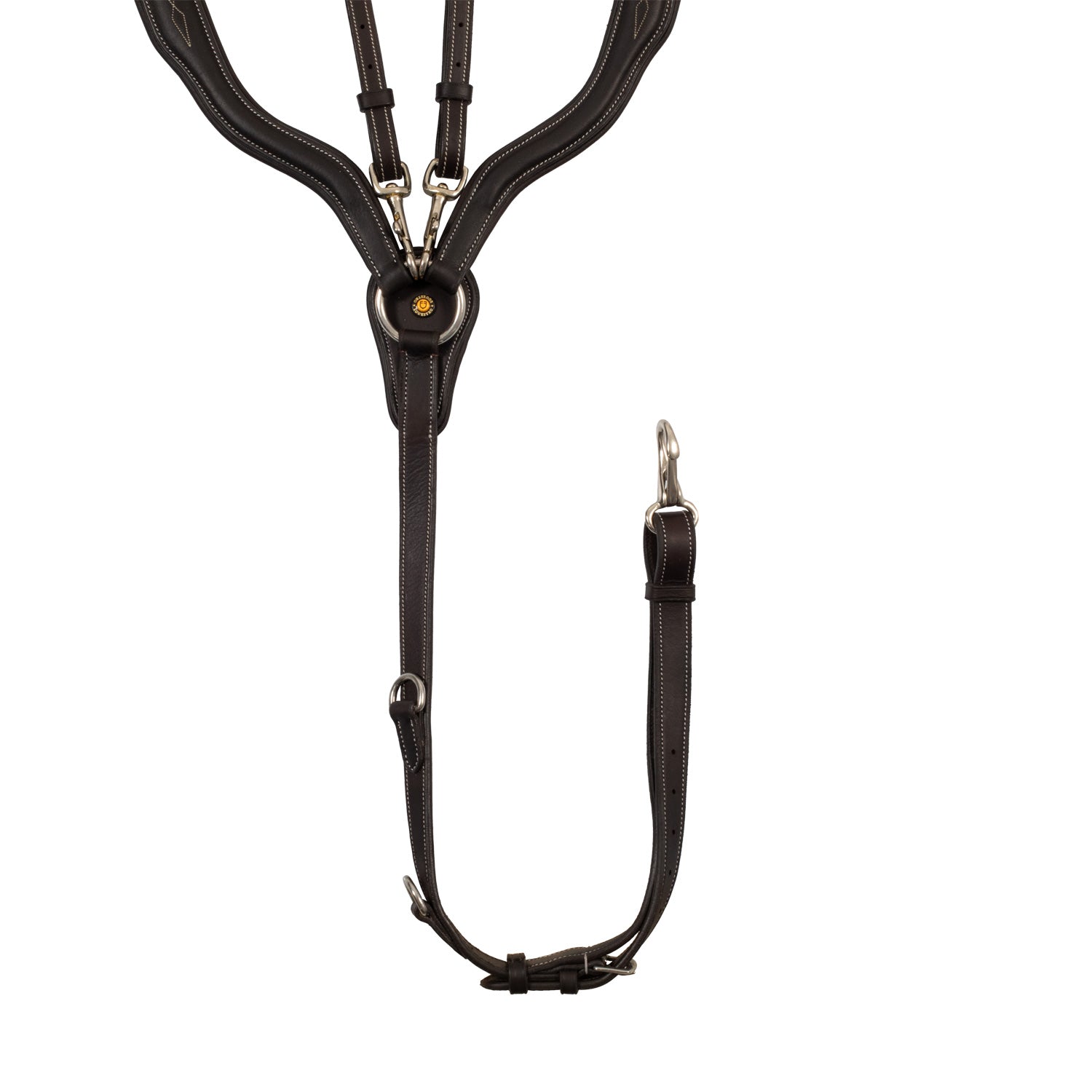 Equestro rinnarihm-martingal