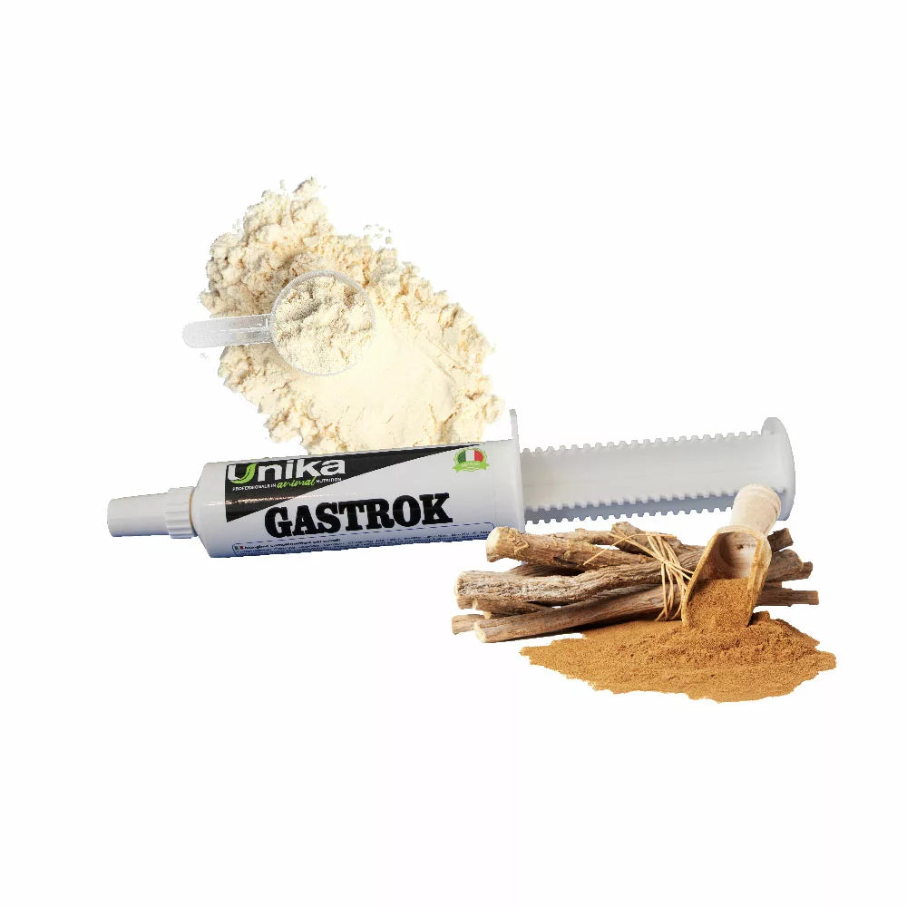 Gastrok pasta - täiendsööt hobustele - gaaside, seedeprobleemide korral