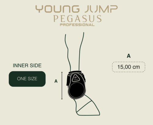 Gatusos Pegasus Professional Young Jump