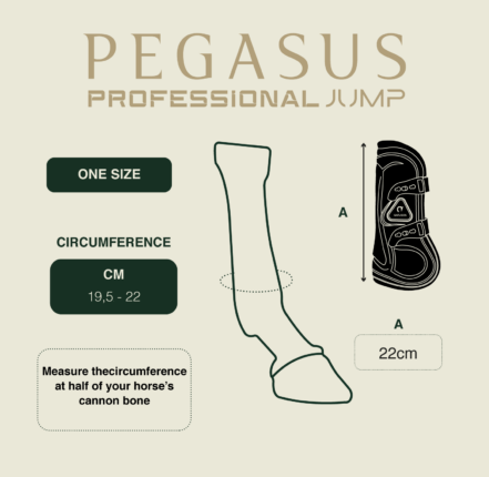 Gatusos Pegasus Professional Jump