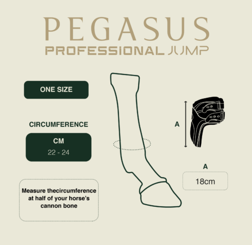 Gatusos Pegasus Professional Jump - karvaga