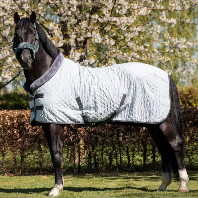 HB Showtime Sunset showtekk