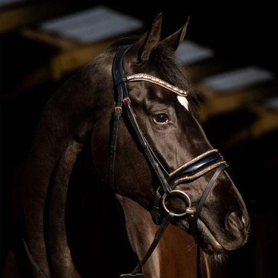 HB Showtime Copper Sky valjad