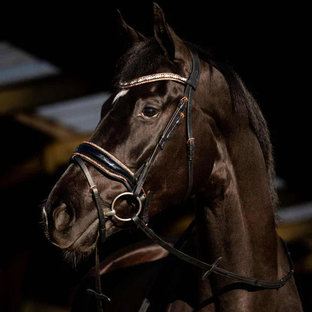 HB Showtime Copper Sky valjad