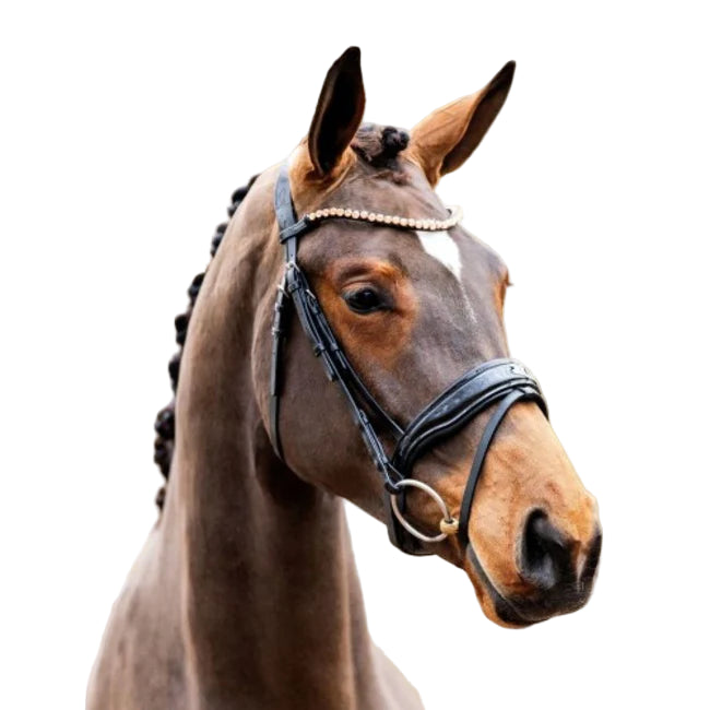 HB Shotime Rose Gold valjad