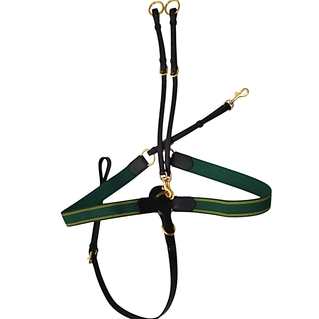 HB Showtime Golden Future rinnarihm-martingal