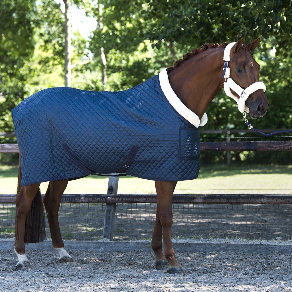 HB Showtime Desire SteelBlue show tekk