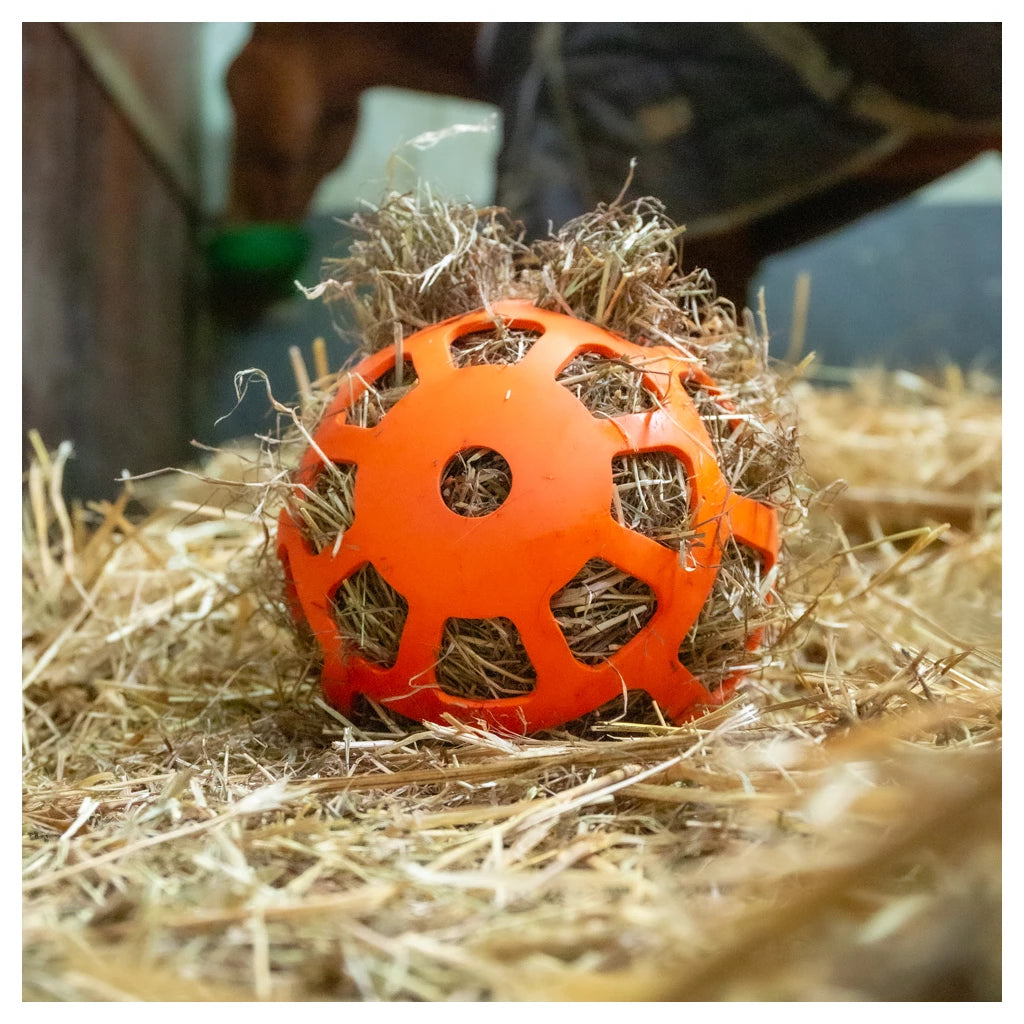 Hay Slow Feeder Fun & Flex sööda-mängupall 22 cm