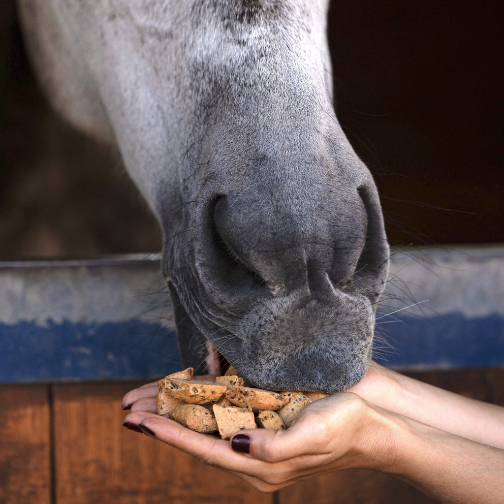 Candy Horse Hooves – pineapple + sage