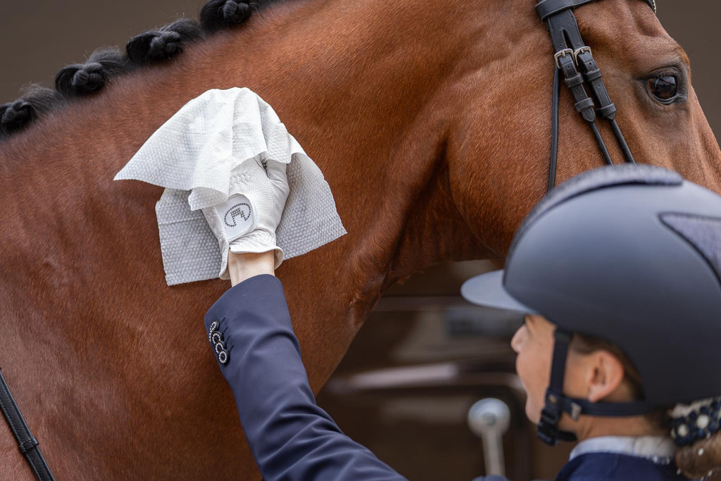 Natural Clean 30 XXL - niisutatud salvrätikud hobustele