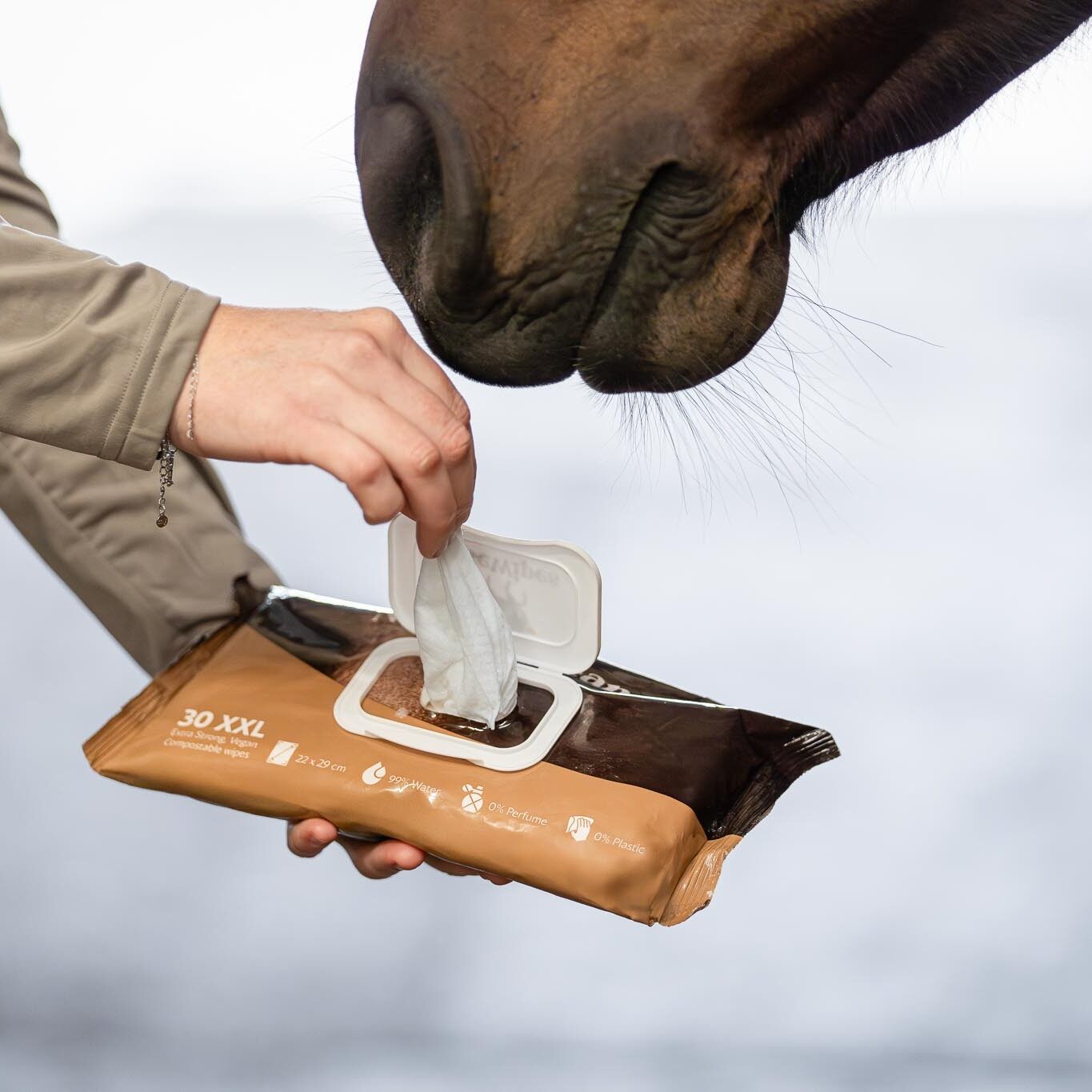 Natural Clean 30 XXL - niisutatud salvrätikud hobustele